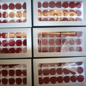 Preserved Rose Head -