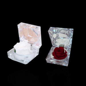 Single Preserved Rose in Acrylic Ring Box -