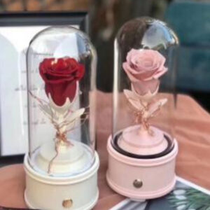 Preserved Rose Glass Dome Music Box (Bluetooth Speaker)