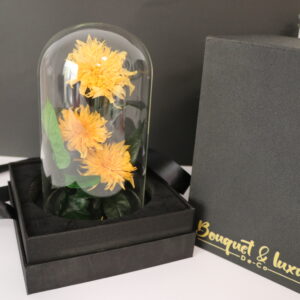 Preserved Sunflower Glass Dome - With Gift Box