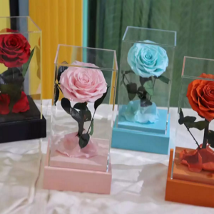 Preserved Rose in Acrylic Box - With Gift Box
