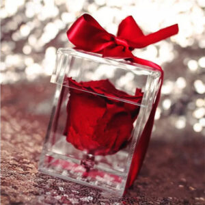 Single Preserved Rose in Acrylic Box -