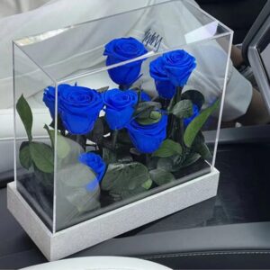 Long Lasting Preserved Roses-Acrylic Box