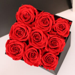 Small Everlasting Roses - Square Box