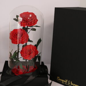 3 Large Everlasting Rose In Glass Dome-40cm (With Gift Box)