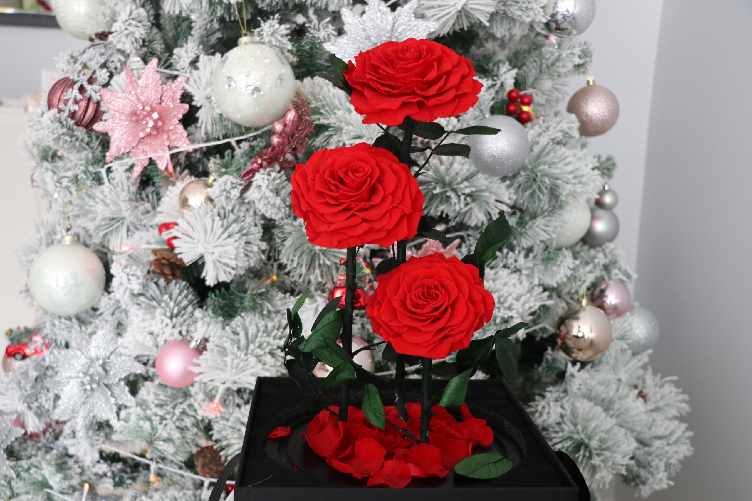 3 Large Everlasting Rose In Glass Dome-40cm (With Gift Box) - Image 7