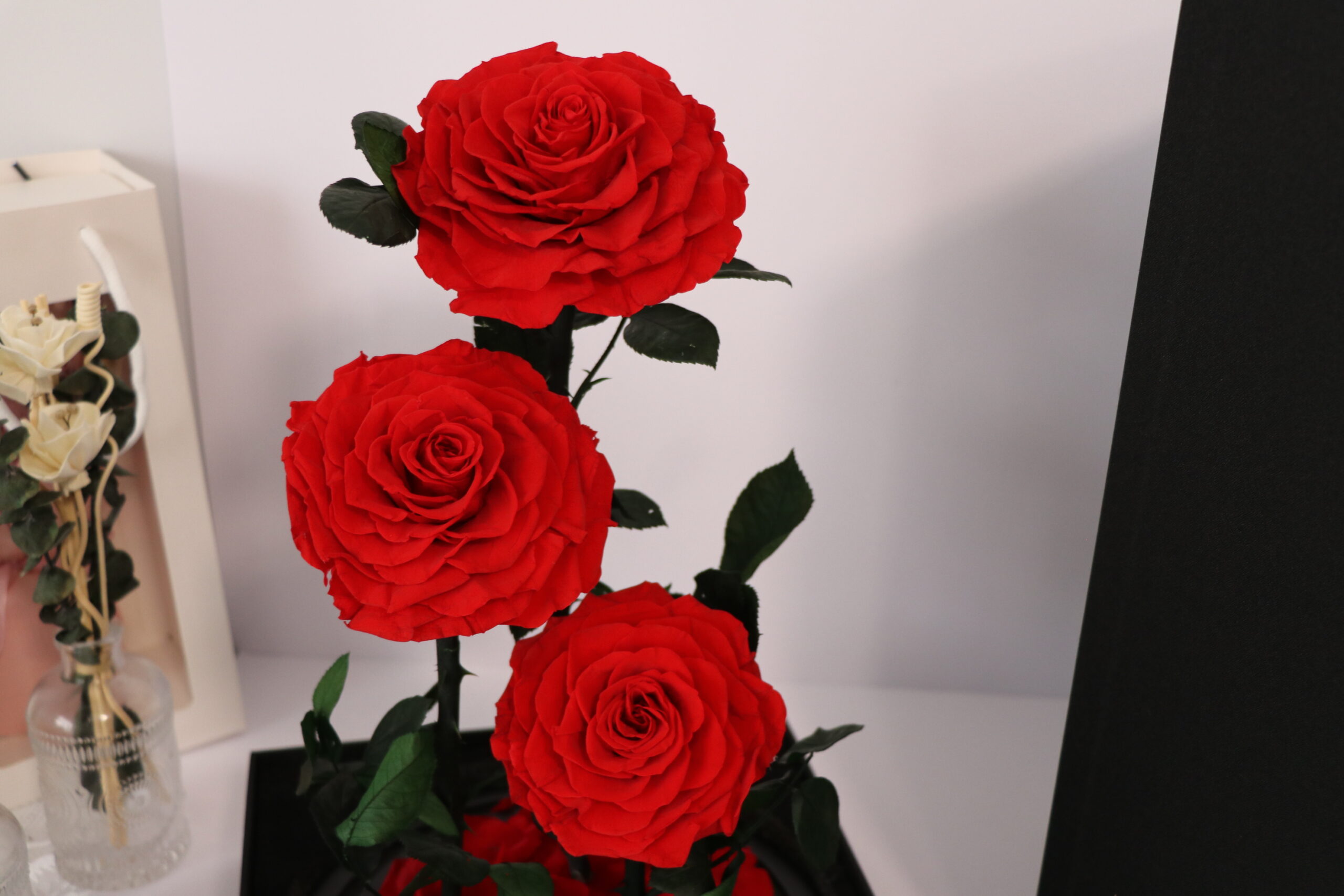 3 Large Everlasting Rose In Glass Dome-40cm (With Gift Box) - Image 6