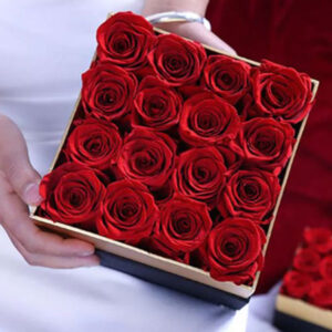 Square Everlasting Roses